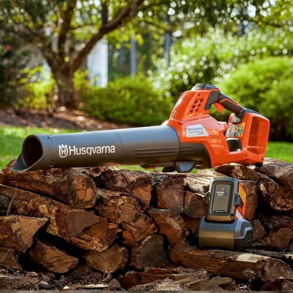 Souffleur à Batterie